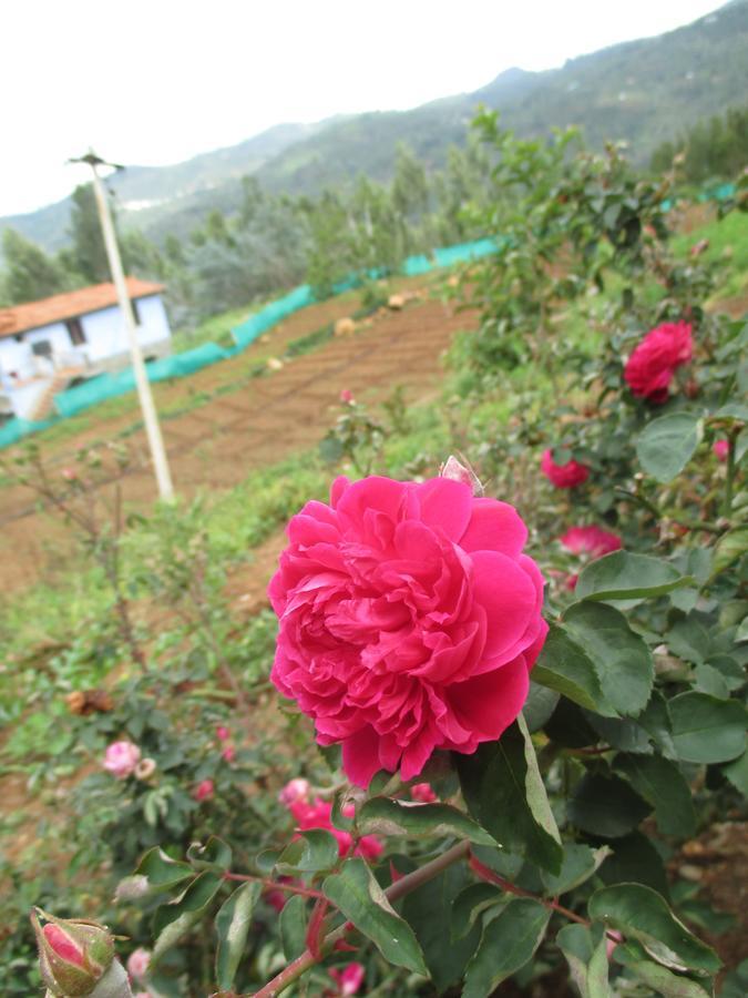 קוימבטור Relaxing 2 B/R Estate House, Deenaty, Tamil Nadu מראה חיצוני תמונה